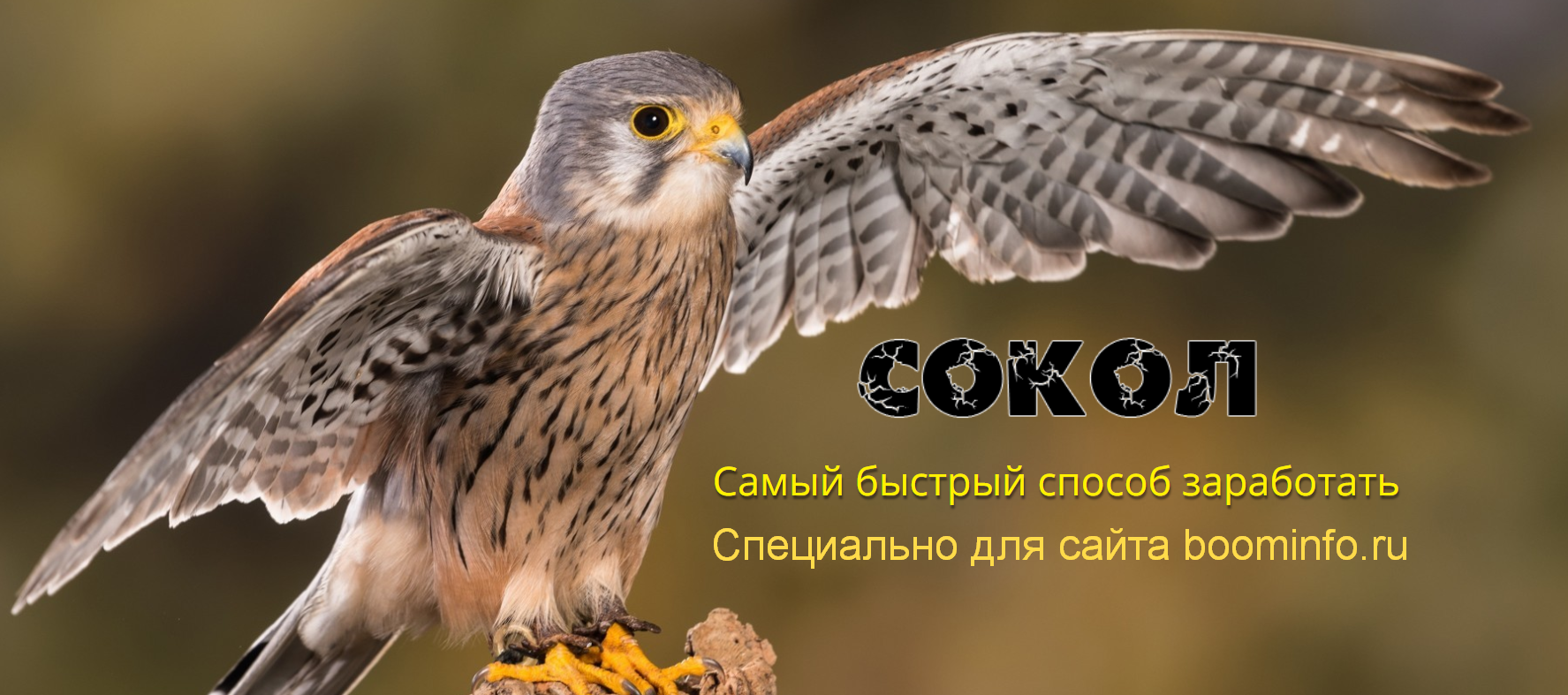 [Андрей Копылов] _Сокол_ - Самый быстрый способ за_0.png